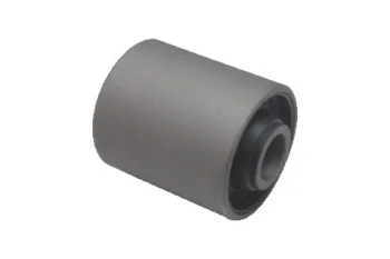 SALINCAK BURCU, ARKA