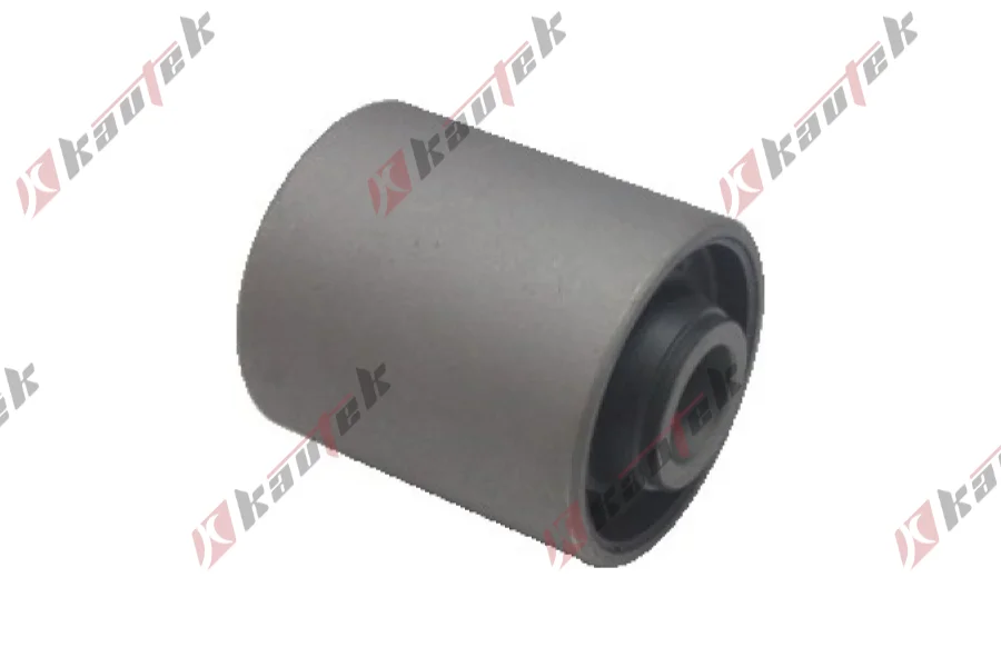 SALINCAK BURCU, ARKA