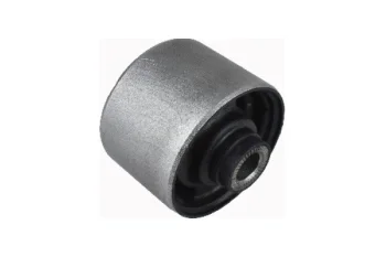 SALINCAK DENGE KOL BURCU, ARKA