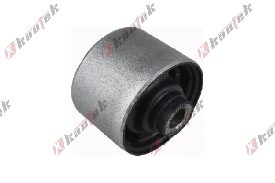 SALINCAK DENGE KOL BURCU, ARKA