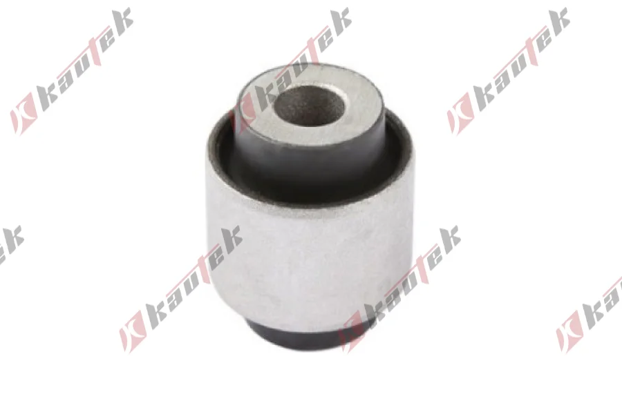 SALINCAK - DENGE KOLU BURC, ARKA