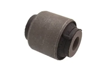 SALINCAK DENGE KOL BURCU, ARKA