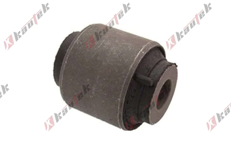 SALINCAK DENGE KOL BURCU, ARKA