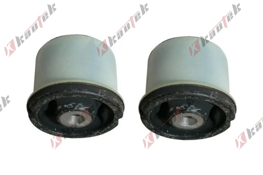 TORSIYON BURCU SET, ARKA