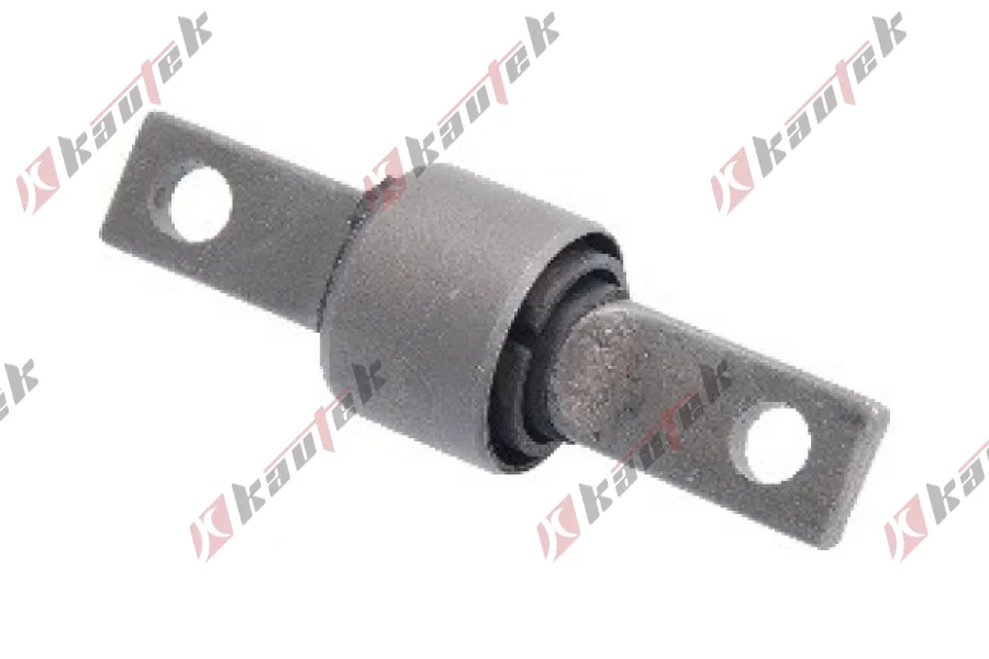 SALINCAK DENGE KOL BURCU, ARKA