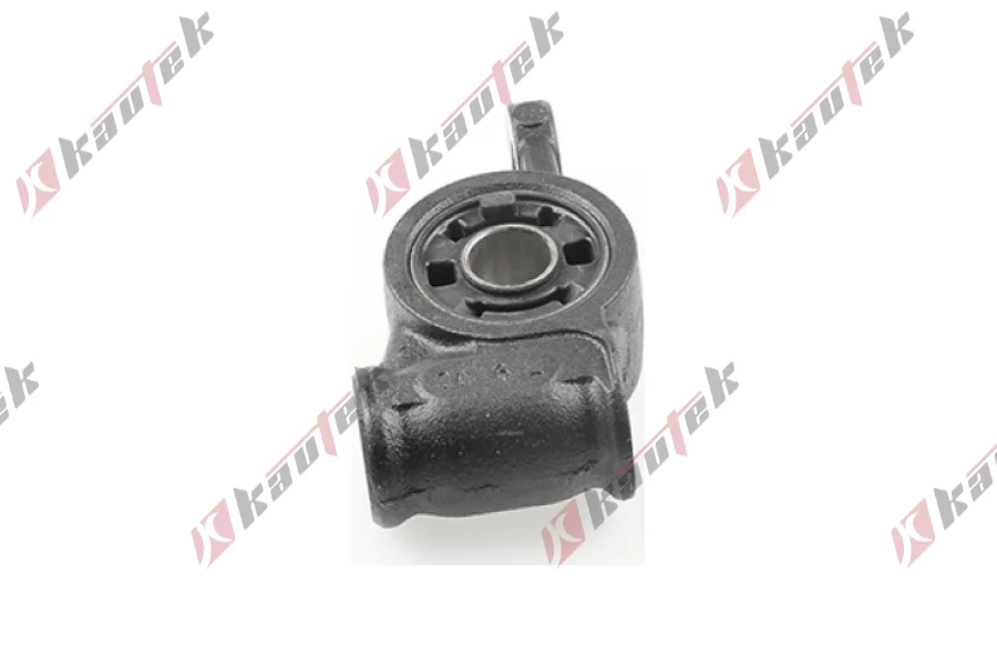 SALINCAK BURCU, BUYUK SOL