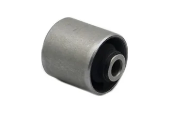 SALINCAK DENGE KOLU BURCU, ARKA