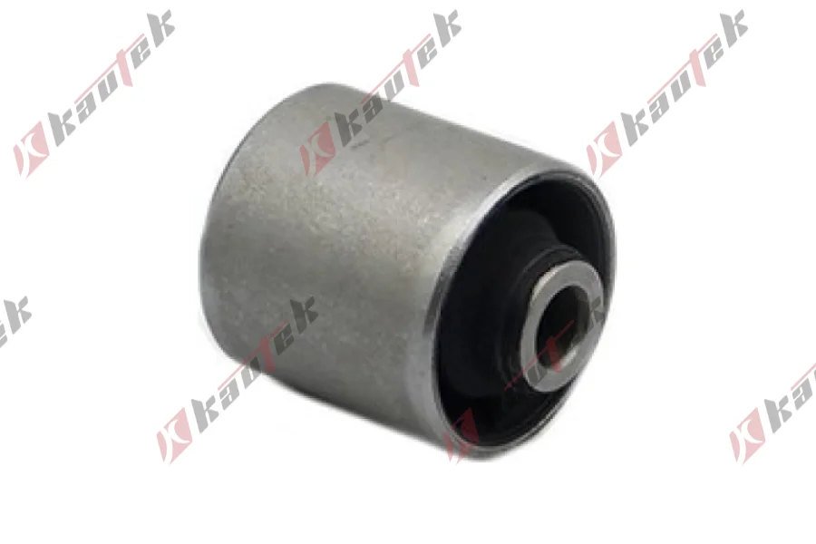 SALINCAK DENGE KOLU BURCU, ARKA