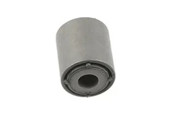 SALINCAK DENGE KOL BURCU, ARKA SAG / SOL