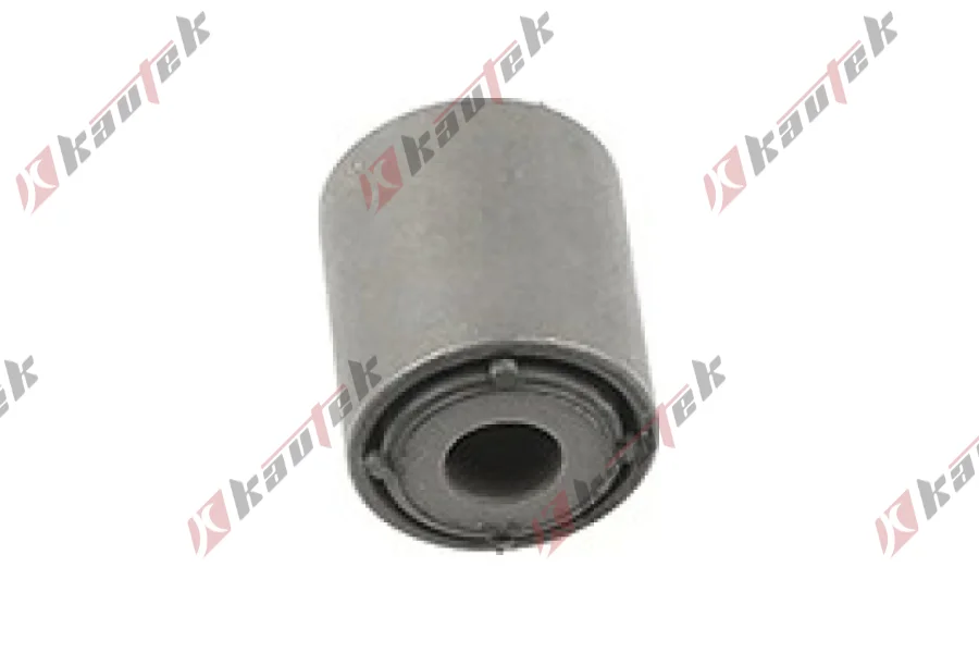 SALINCAK DENGE KOL BURCU, ARKA SAG / SOL