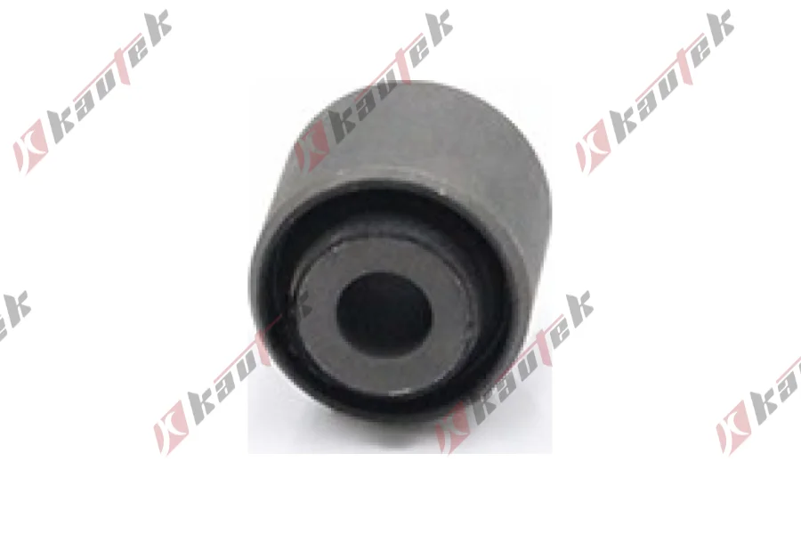 SALINCAK DENGE KOL BURCU, ARKA