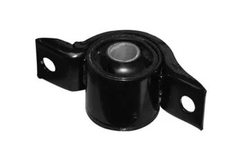 SALINCAK BURCU BUYUK