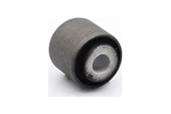 SALINCAK-/DENGE KOLU BURCU, ARKA SAG / SOL