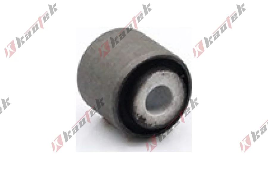 SALINCAK-/DENGE KOLU BURCU, ARKA SAG / SOL