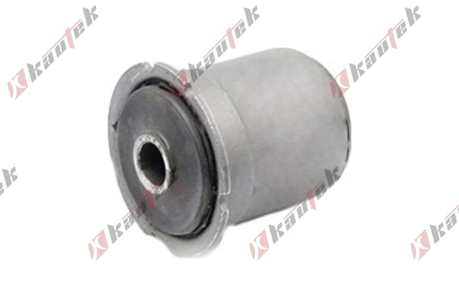 DENGE KOL BURCU, ARKA