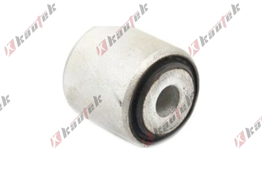 SALINCAK BURCU KUCUK ARKA