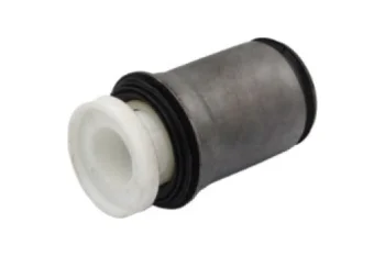 SALINCAK BURCU BUYUK