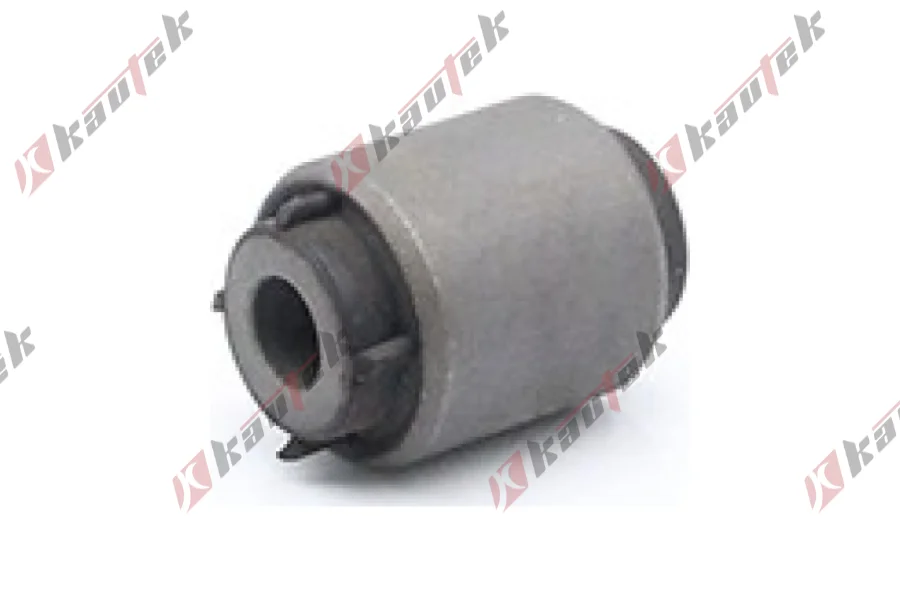 SALINCAK - DENGE KOLU BURCU, ARKA SAG / SOL