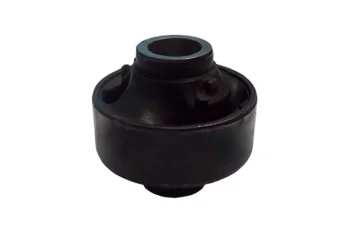 SALINCAK BURCU BUYUK