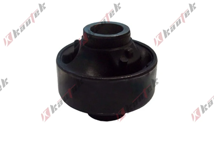 SALINCAK BURCU BUYUK