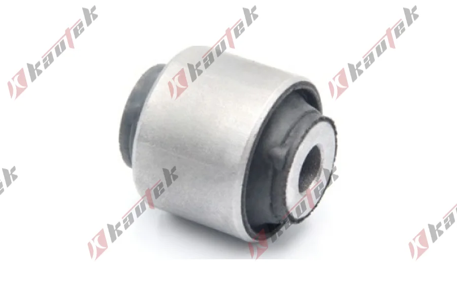 SALINCAK DENGE KOL BURCU, ARKA