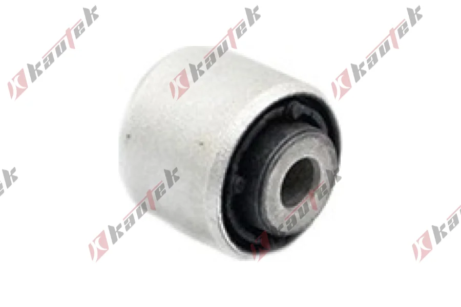 SALINCAK DENGE KOL BURCU, ARKA