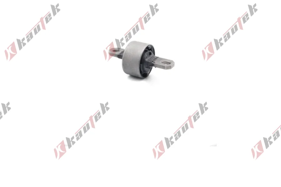 SALINCAK DENGE KOL BURCU, ARKA SAG