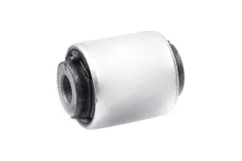 SALINCAK BURCU KUCUK