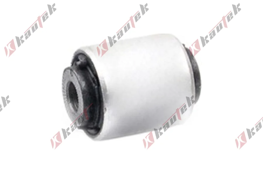 SALINCAK BURCU KUCUK