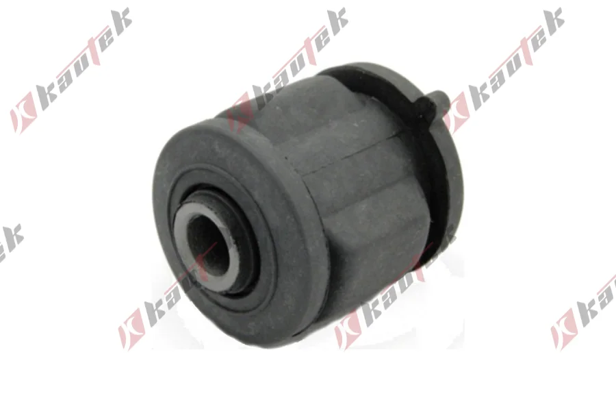 SALINCAK DENGE KOL BURCU, ARKA