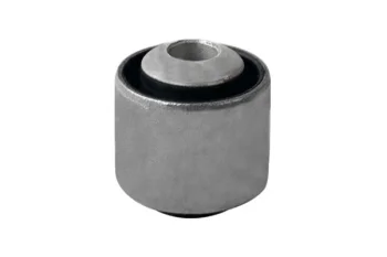 SALINCAK - DENGE KOLU BURCU