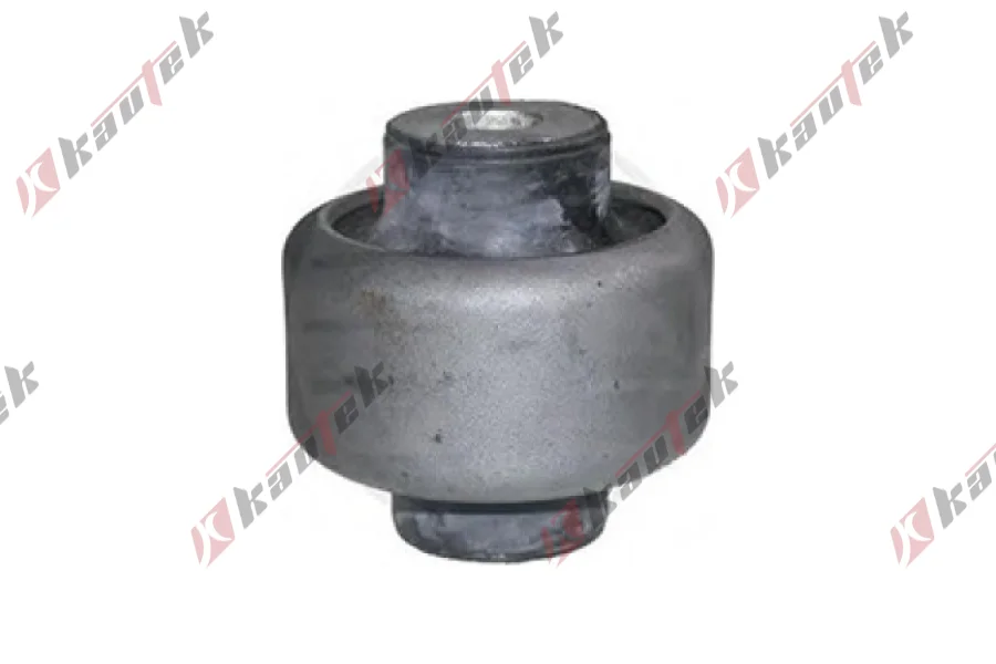 SALINCAK BURCU ARKA BUYUK