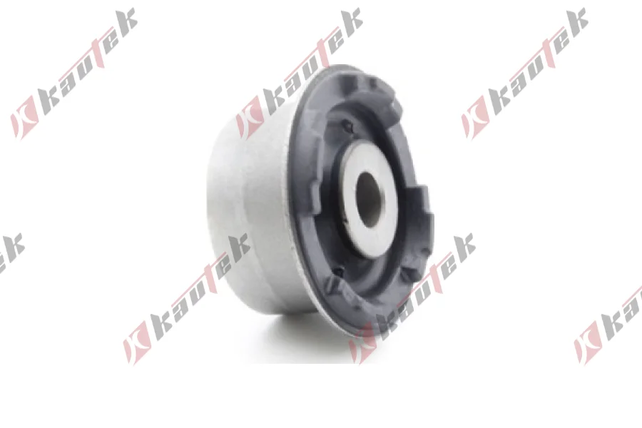 SALINCAK DENGE KOL BURCU, ARKA AKS SOL / SAG