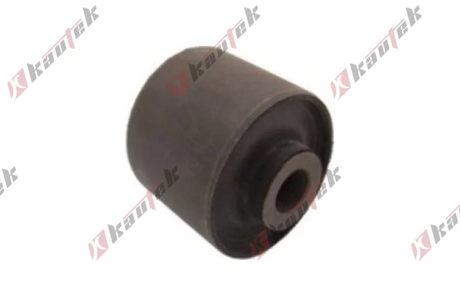 SALINCAK DENGE KOL BURCU, ARKA