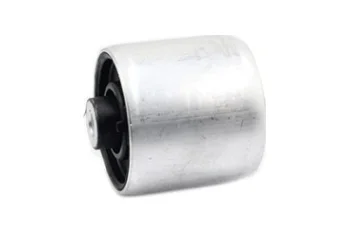 SALINCAK DENGE KOL BURCU, ARKA ALT ON SAG SOL