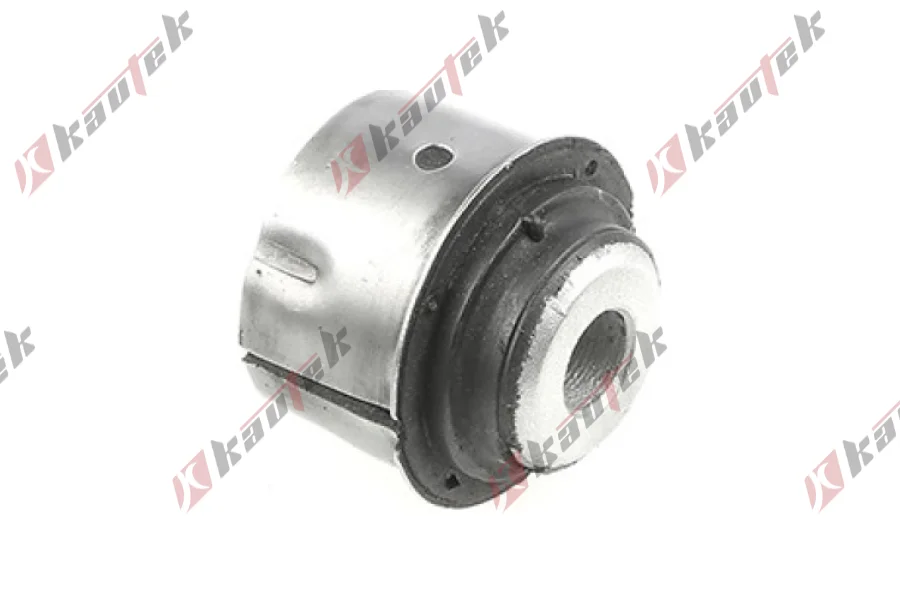 SALINCAK BURCU, ON ALT