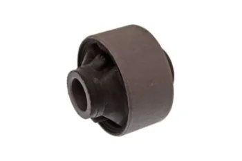 SALINCAK-/DENGE KOL BURCU, ARKA