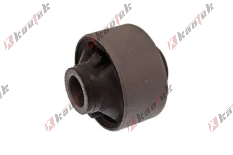 SALINCAK-/DENGE KOL BURCU, ARKA