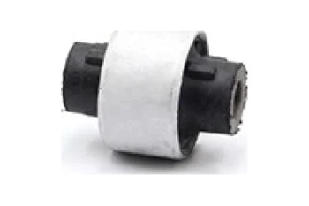 SALINCAK BURCU BUYUK