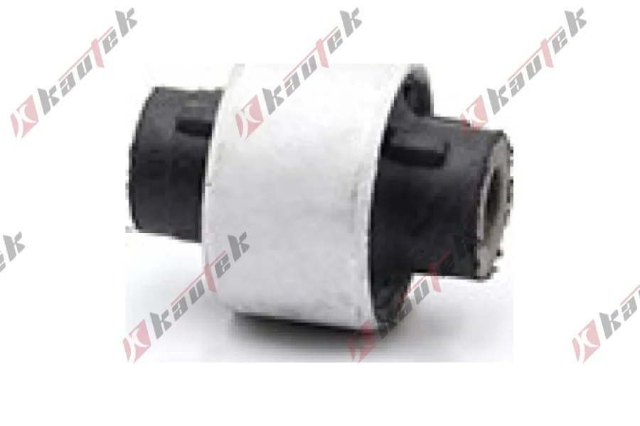 SALINCAK BURCU BUYUK