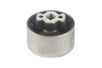 SALINCAK DENGE KOL BURCU