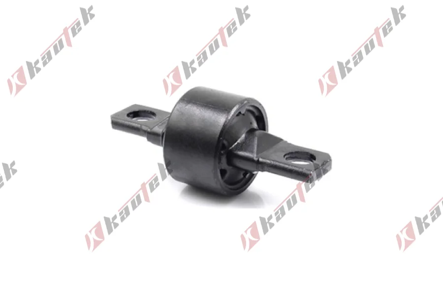 SALINCAK DENGE KOL BURCU, ARKA