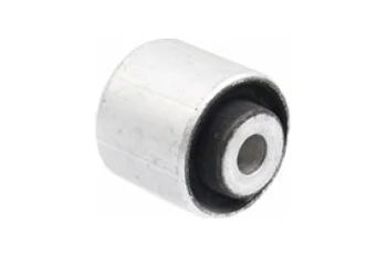 SALINCAK ARKA KOL BURCU