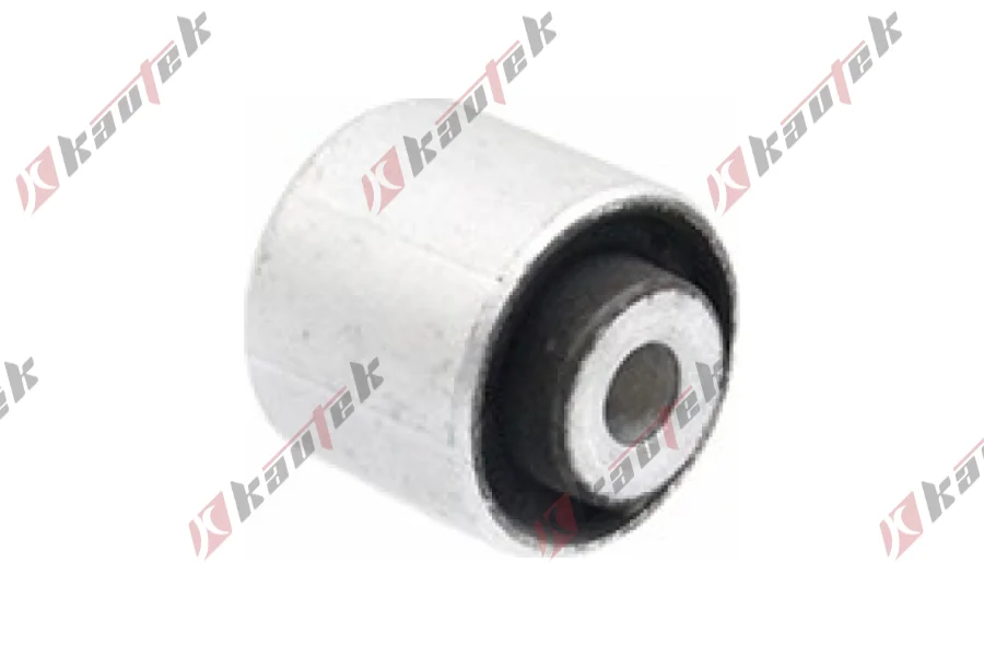 SALINCAK ARKA KOL BURCU