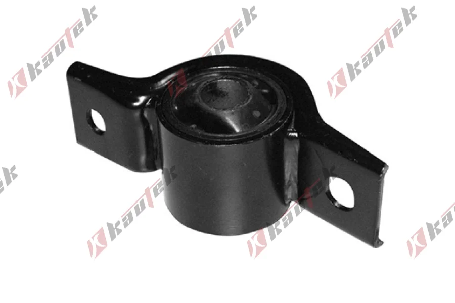 SALINCAK BURCU BUYUK ARKA