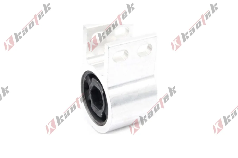 SALINCAK DENGE KOL BURCU, ARKA