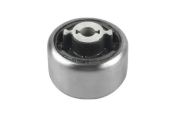 SALINCAK DENGE KOL BURCU