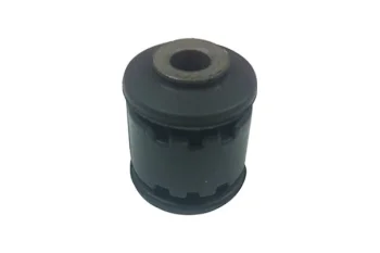 SALINCAK BURCU KUCUK