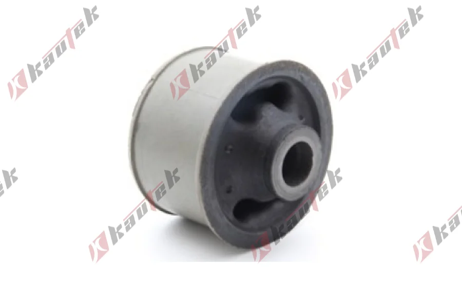 SALINCAK BURCU BUYUK