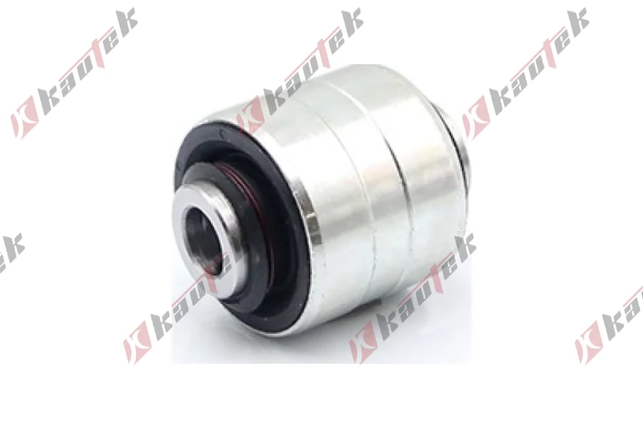 SALINCAK DENGE KOL BURCU ARKA UST